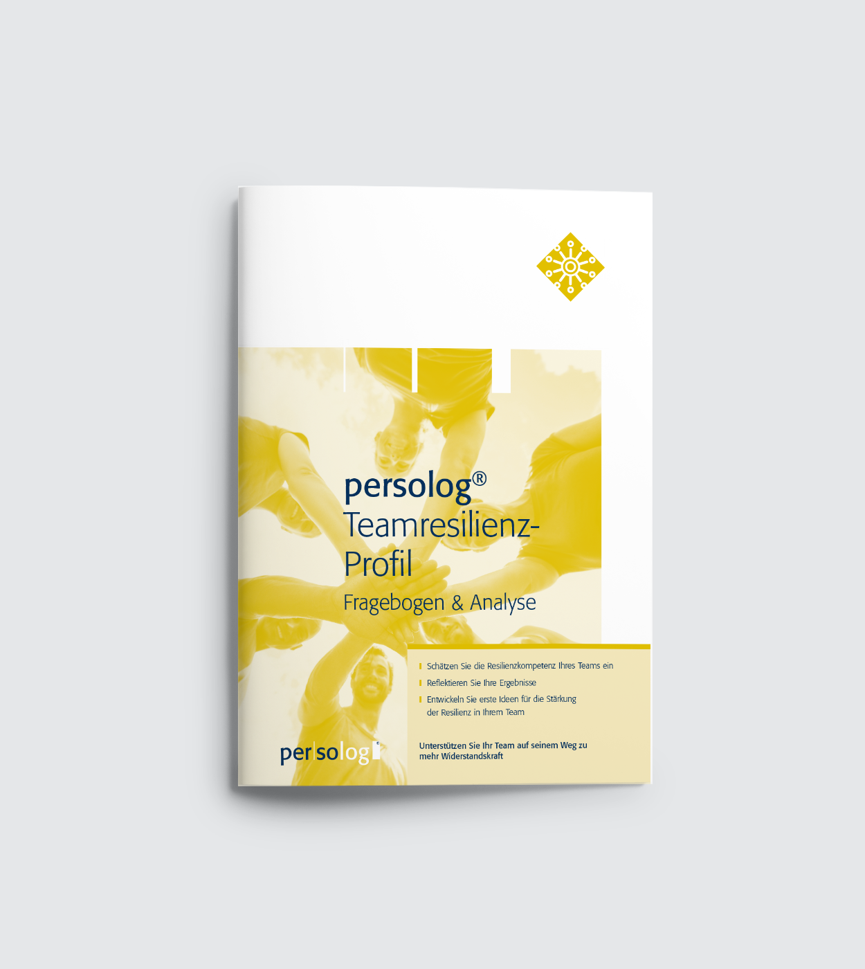 persolog® Teamresilienz-Profil Fragebogen & Analyse