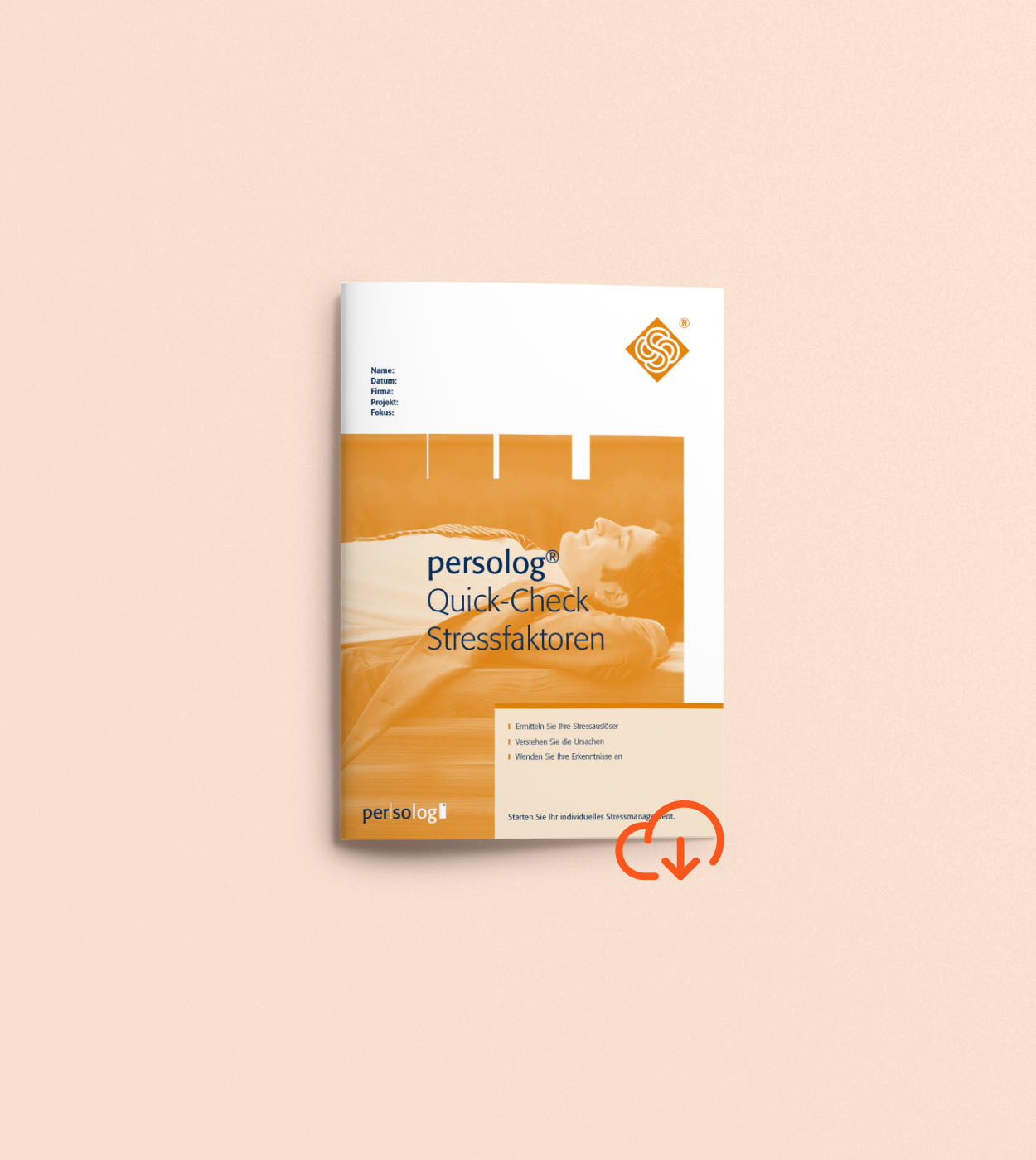 persolog® Quick-Check Stressfaktoren online