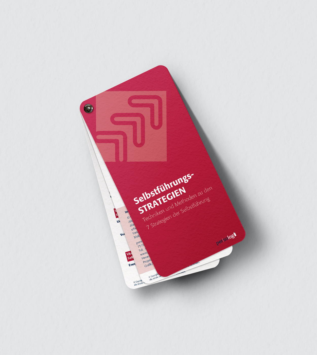 Selbstführungsstrategien Fächer