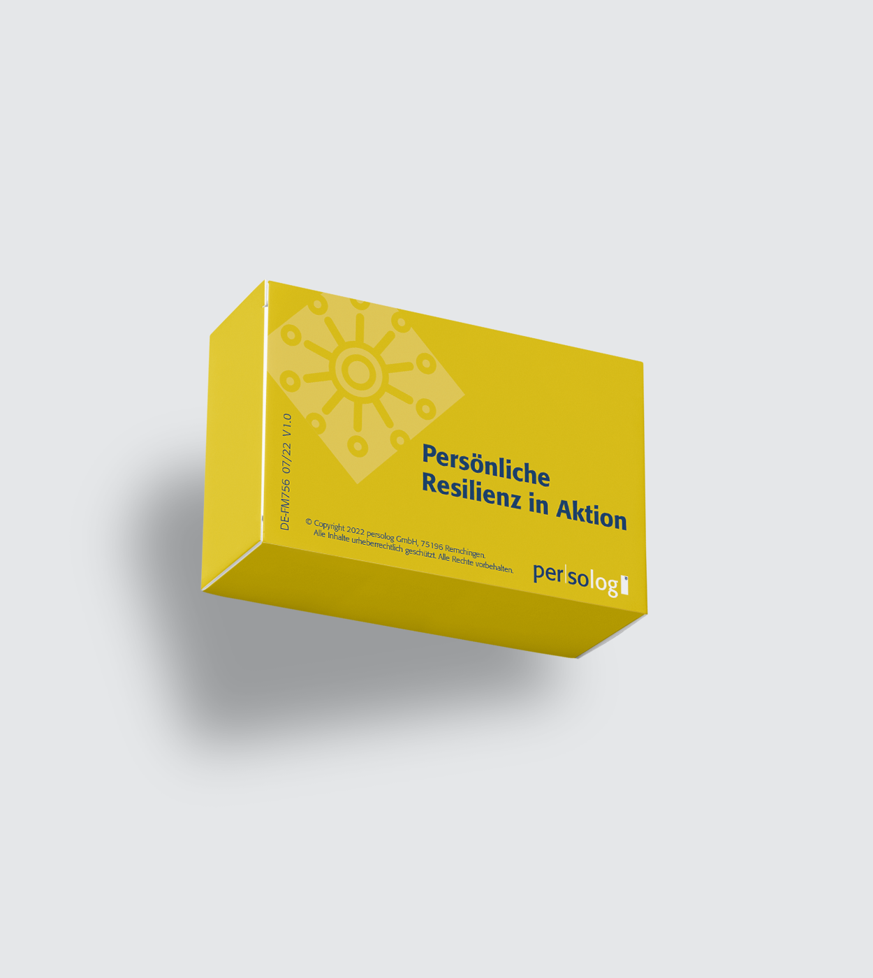 Personal Resilience in Action