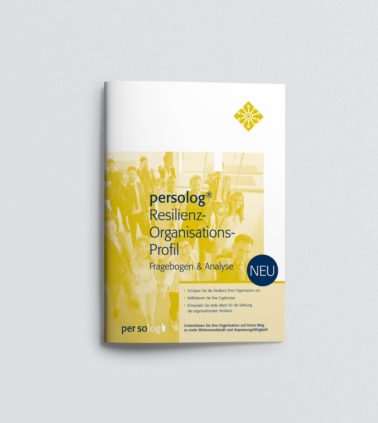 persolog® Resilienz-Organisations-Profil Fragebogen & Analyse