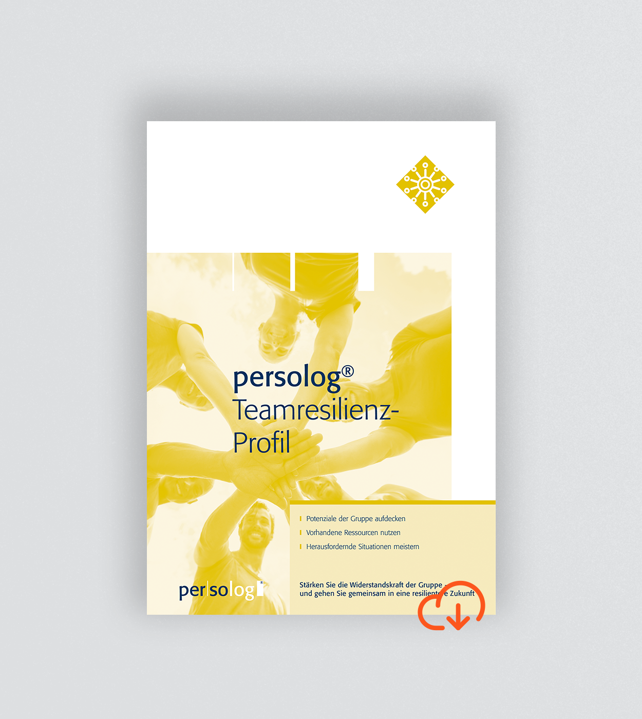 persolog® Teamresilienz-Profil online