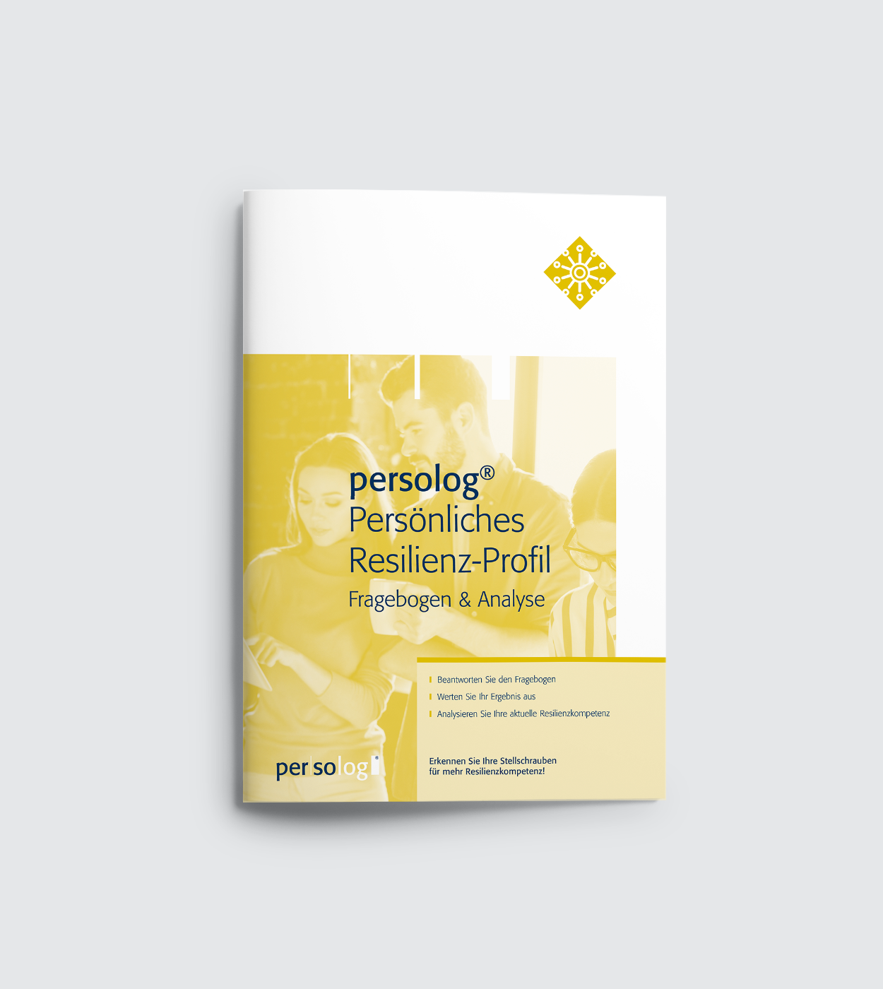 persolog® Persönliches Resilienz-Profil Fragebogen & Analyse