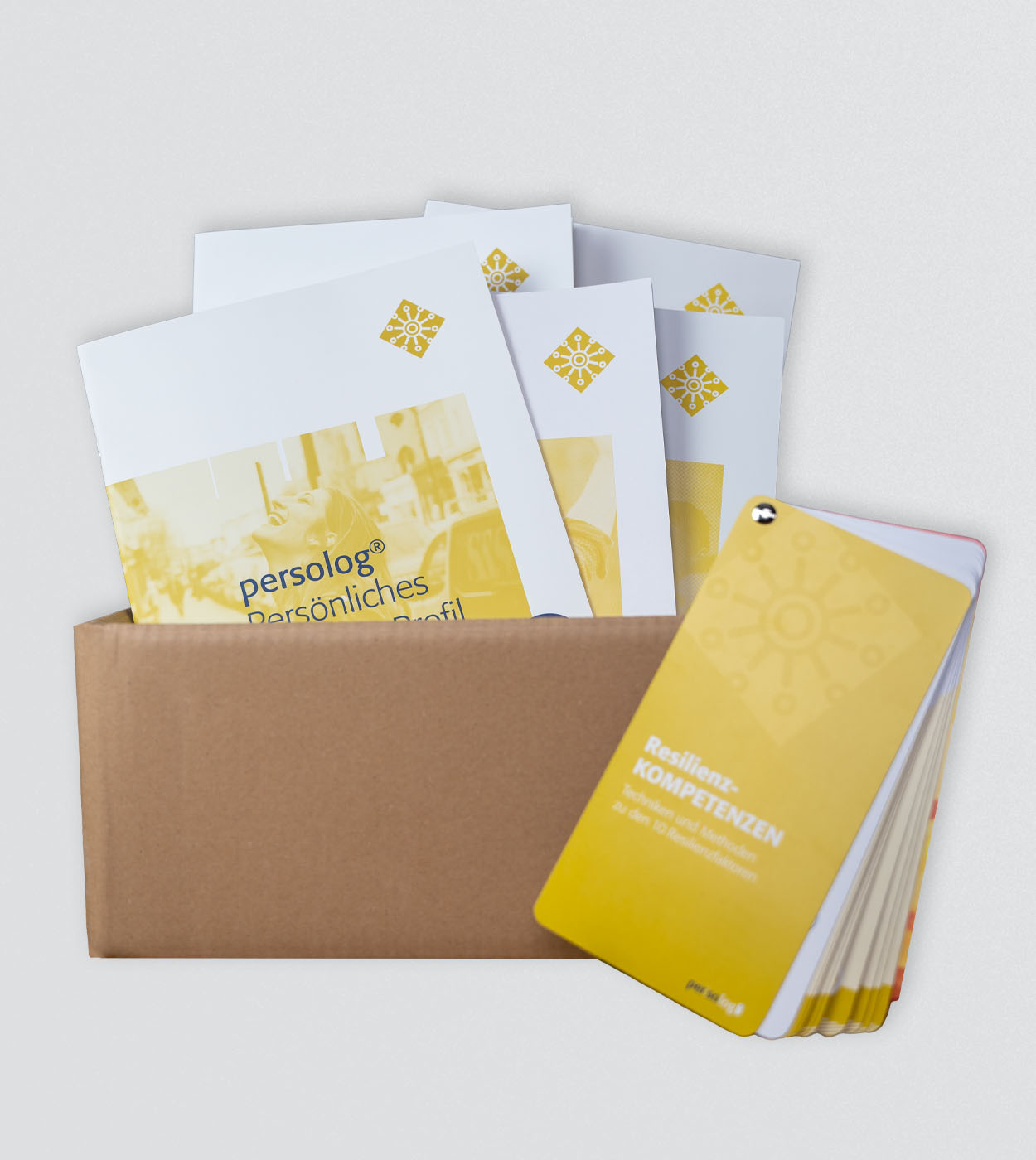 Kennenlernpaket zum persolog Resilienz-Modell