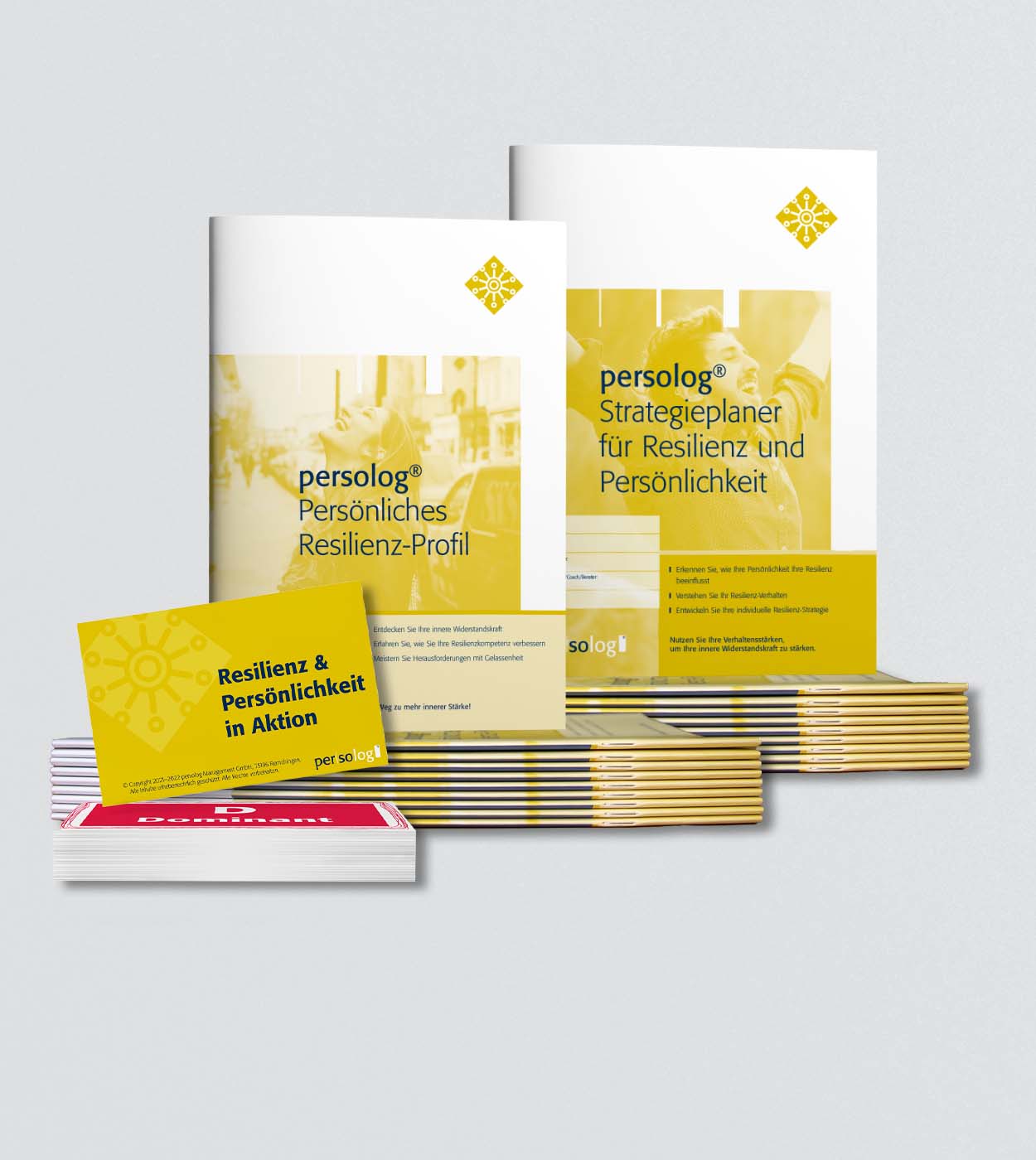 Starterpaket Zertifizierung zum Resilienz-Modell